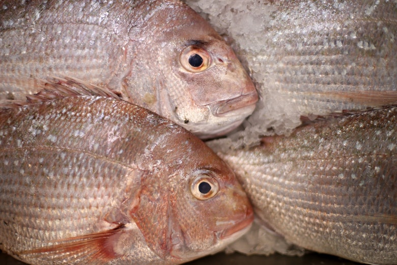 fish-poisoning-is-more-common-these-days-so-watch-out-for-these-kinds