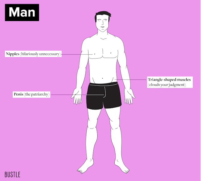 Honest Sex Ed Diagrams We Need For 2016 Cause We Could All Use Some 3800