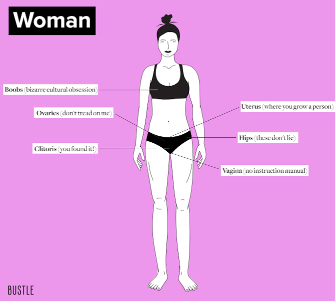 Honest Sex Ed Diagrams We Need For 2016 Cause We Could All Use Some
