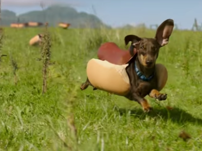 The Heinz Ketchup Super Bowl Commercial Starring Dozens Of Puppies Just