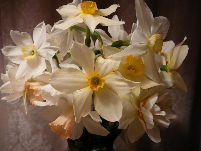 11 Wedding Flowers To Include In Your Bridal Bouquet This Spring