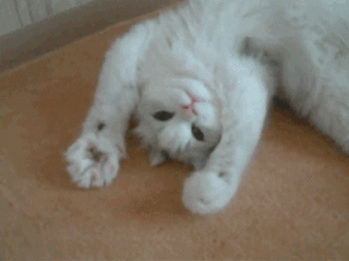 84b0eb30-5ce2-0133-6dcf-0aecee5a8273.gif