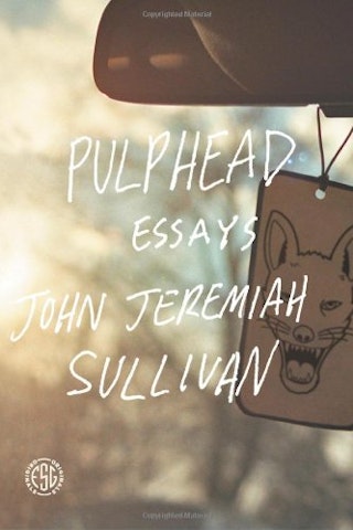 john jeremiah sullivan michael essay