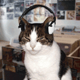 Image: http://lovelace-media.imgix.net/uploads/626/b2afd5b0-79a6-0132-43a6-0ebc4eccb42f.gif?w=320