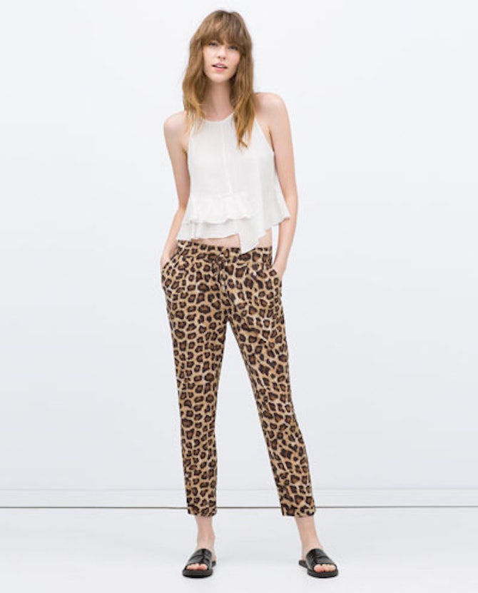 cheetah brand sweatpants