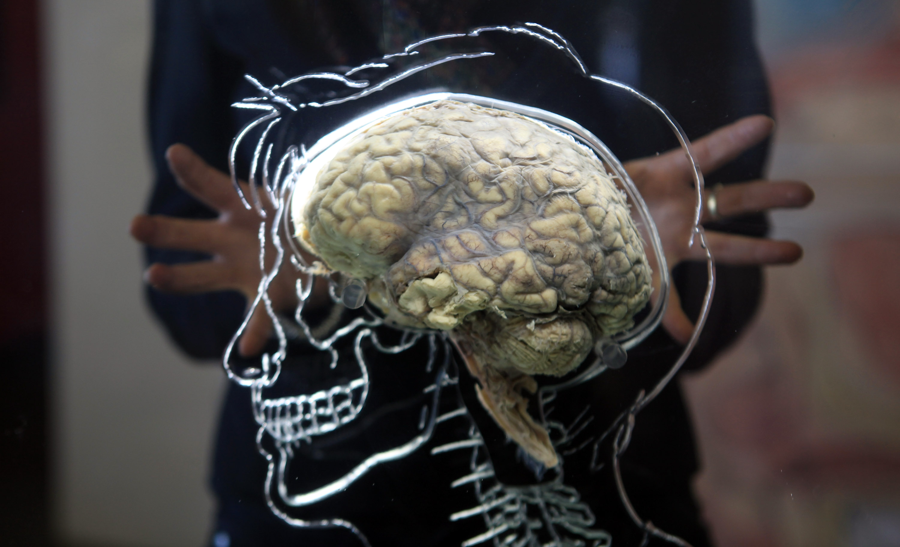 Мозг человека в реальности