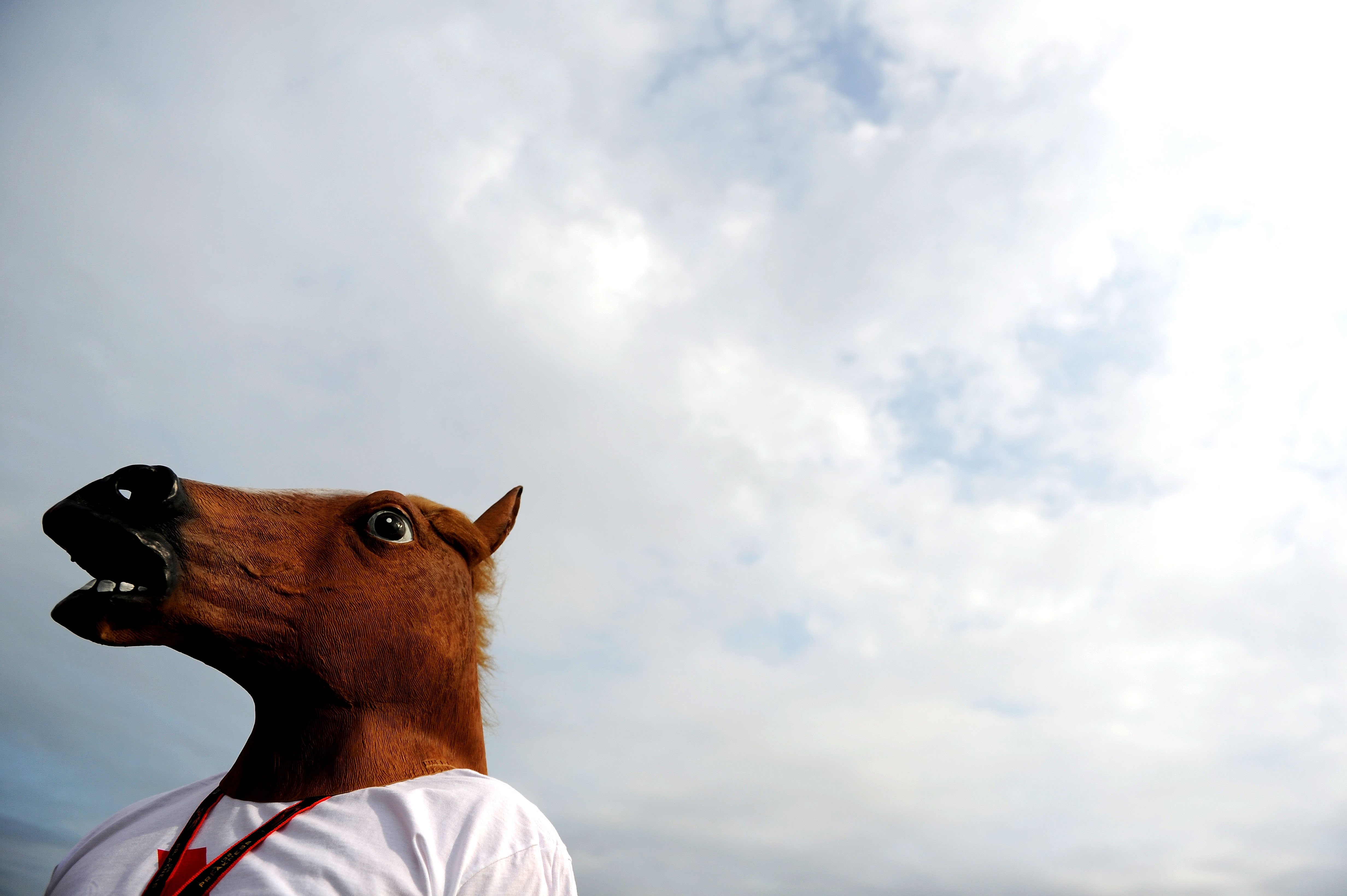 Girl Wearing A Horse Mask Hilariously Fails To Take A Selfie, And It Is