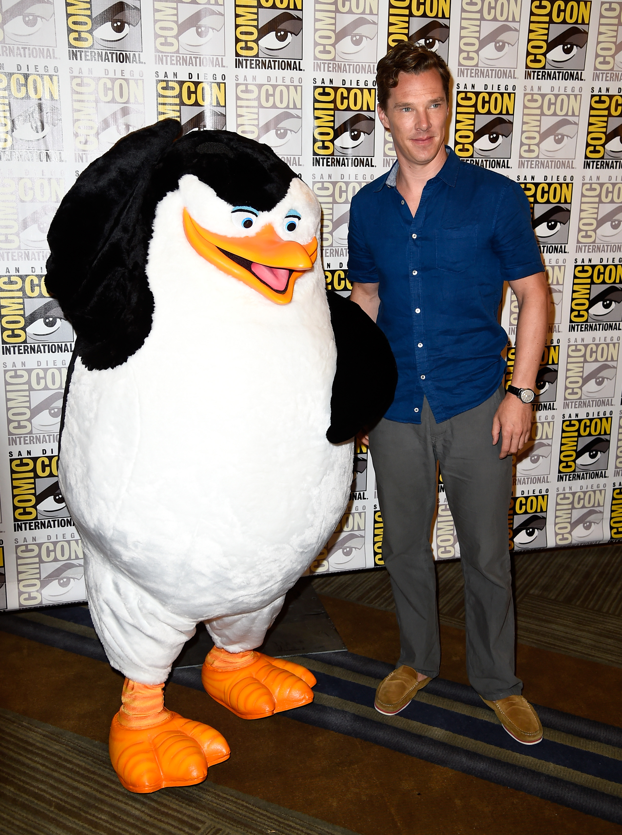 humane synonymordbog kerne Benedict Cumberbatch Can't Say The Word "Penguin" & It's Stupidly Adorable  — VIDEO