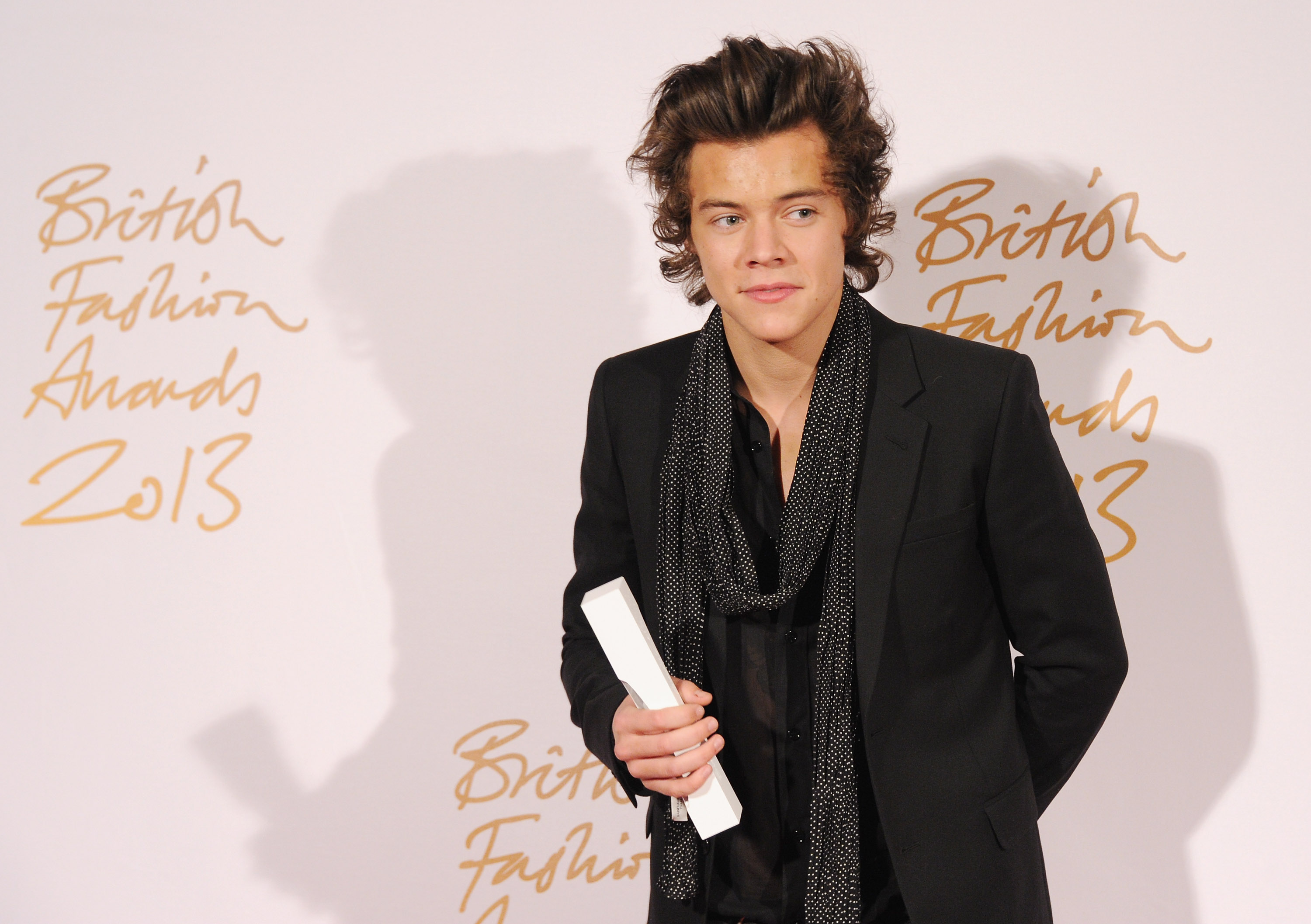 Harry Styles' Hair In 2013 Was All About Bedhead & Volume — PHOTOS