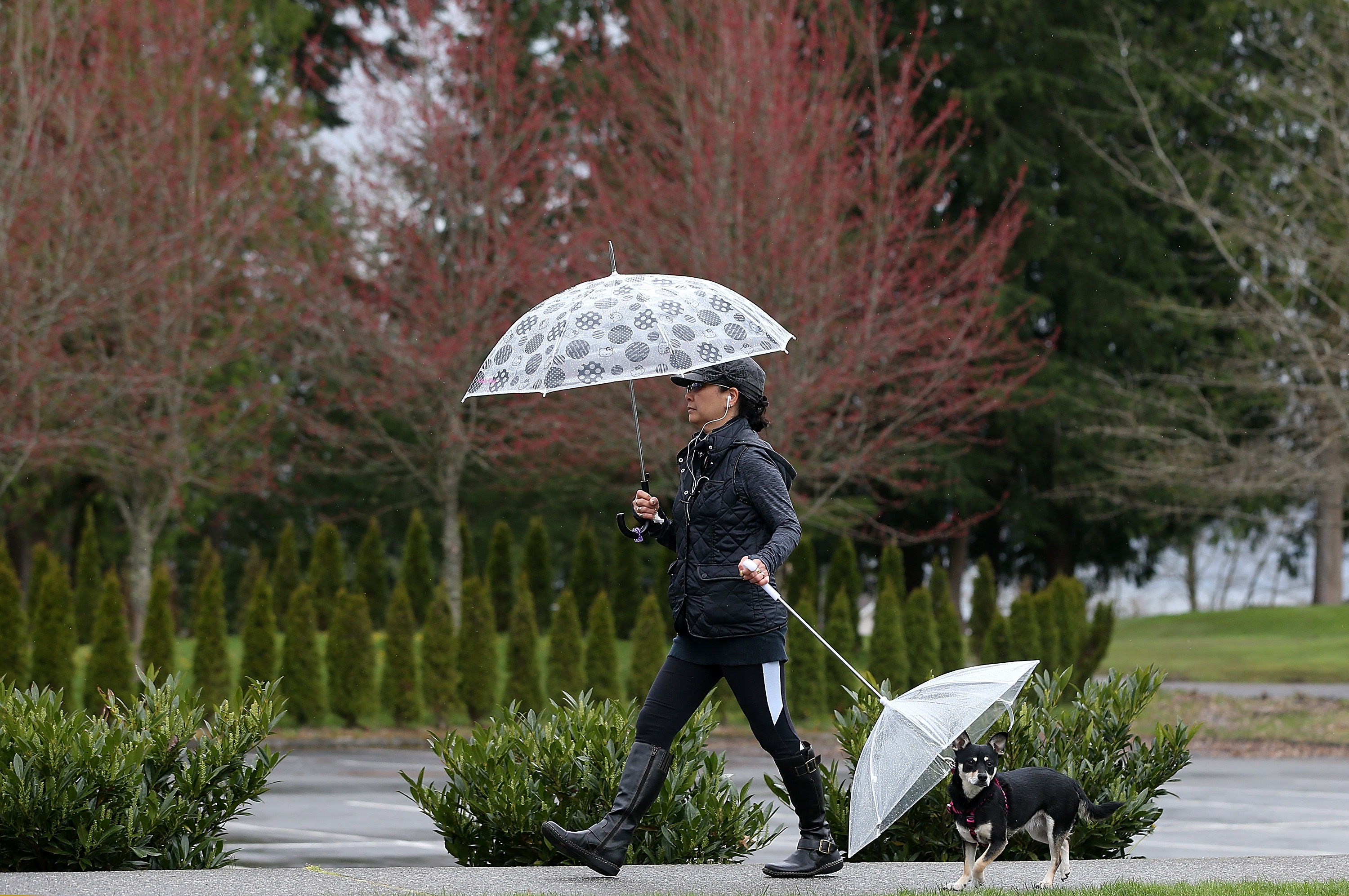 Работает во время дождя. Дождевой зонт. Зонтик под дождем. Весенний зонтик. Фотосессия с зонтиком.
