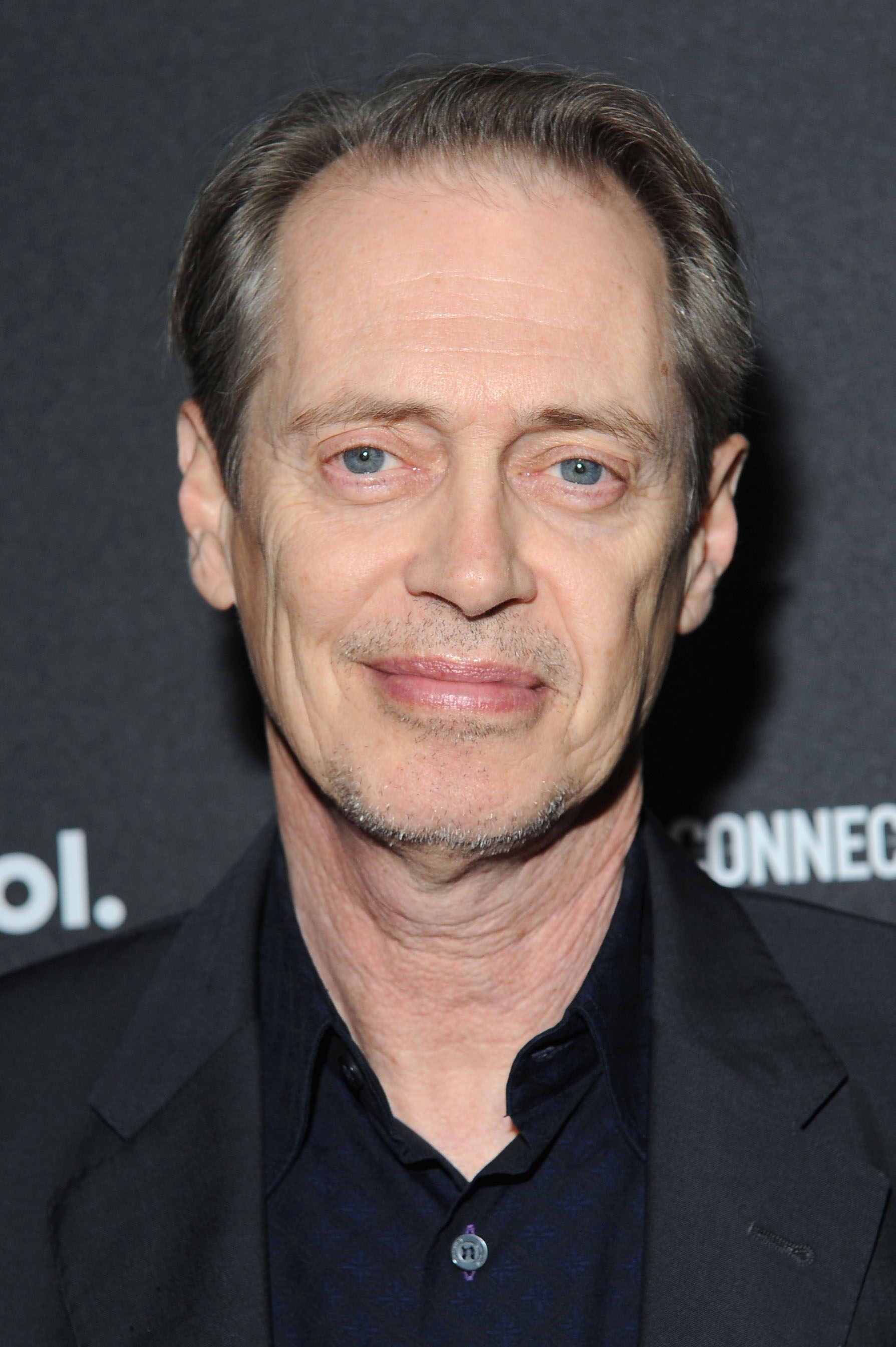 Steve buscemi does not think the buscemi eyes meme is very funny. 