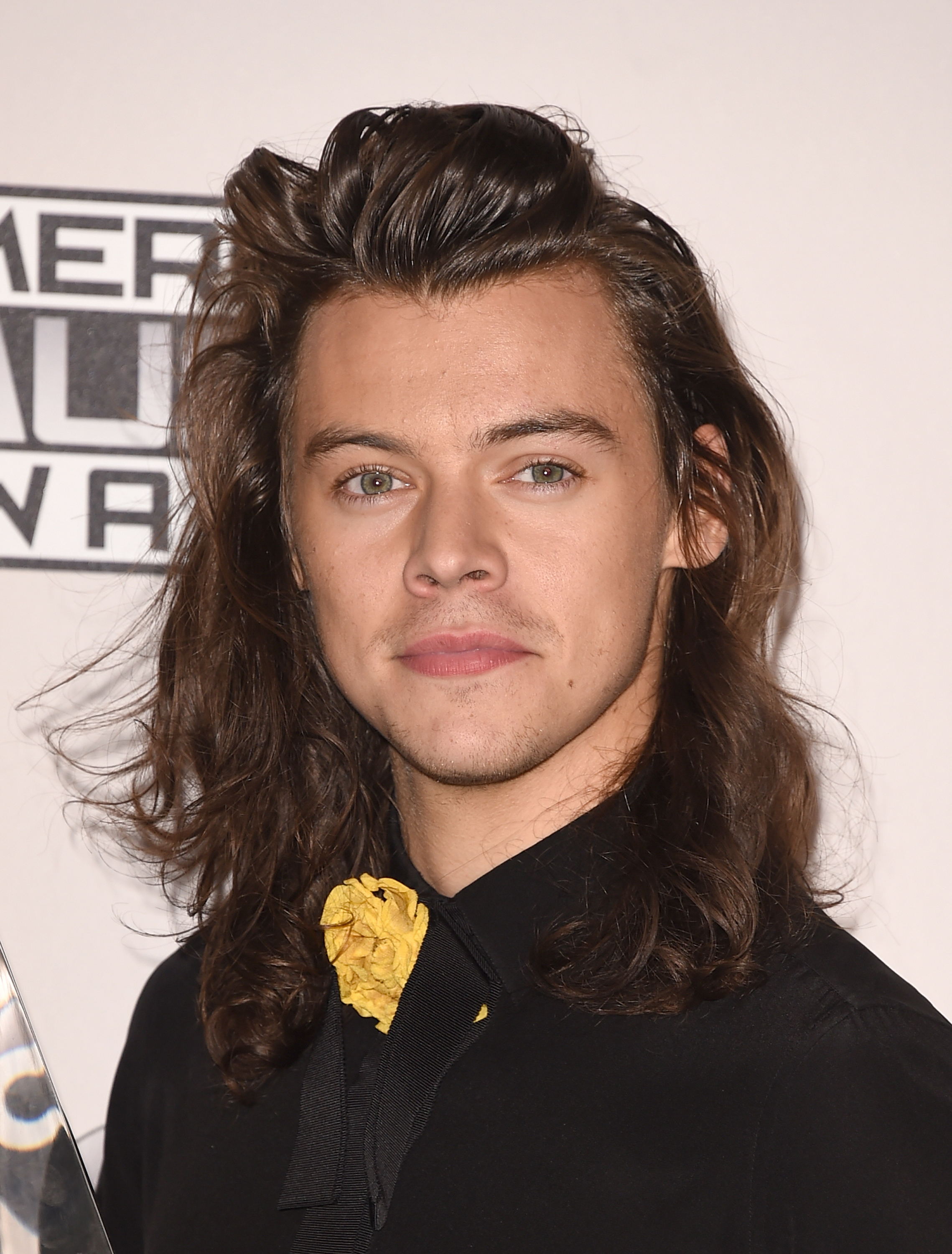 Why Did Harry Styles Cut His Hair Short? It Wasn't Just For Charity