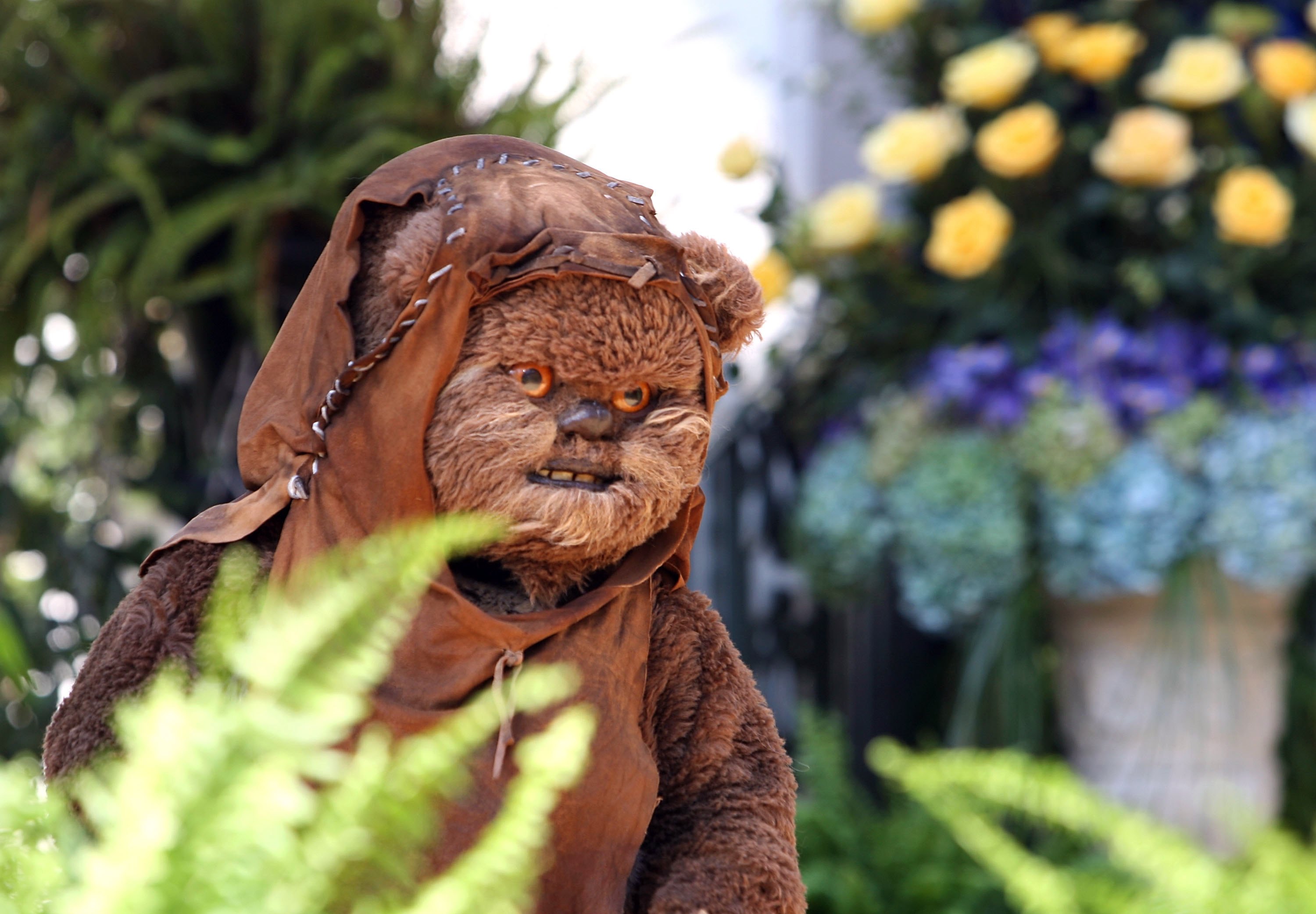 7 Feelings About The 'Star Wars' Ewok Movie.
