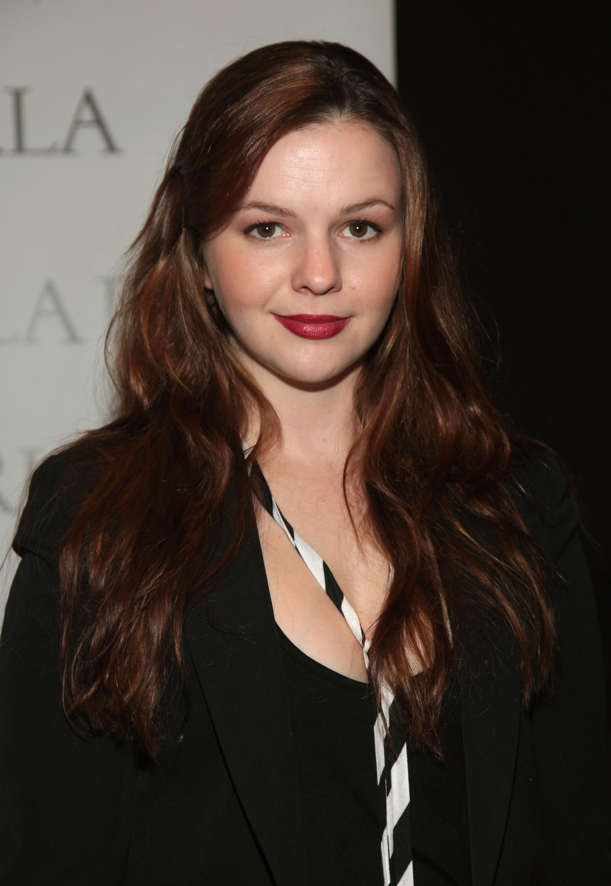 Amber Tamblyn Is Now a Two and a Half Men Series Regular Oh, Brother