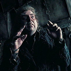 Image result for peter pettigrew gifs