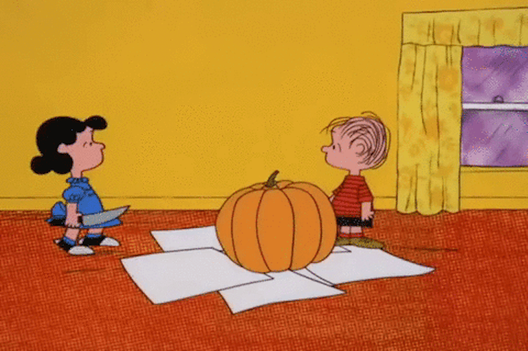 Image result for Pumpkin Day gif