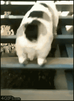 Image result for MAKE GIFS MOTION IMAGES OF JAMES 4; 4