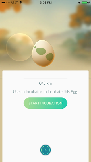 How can i incubate an egg without an incubator