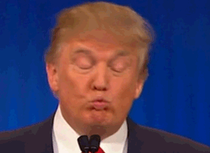 Tiny Trump memes become ‘big’ on Internet