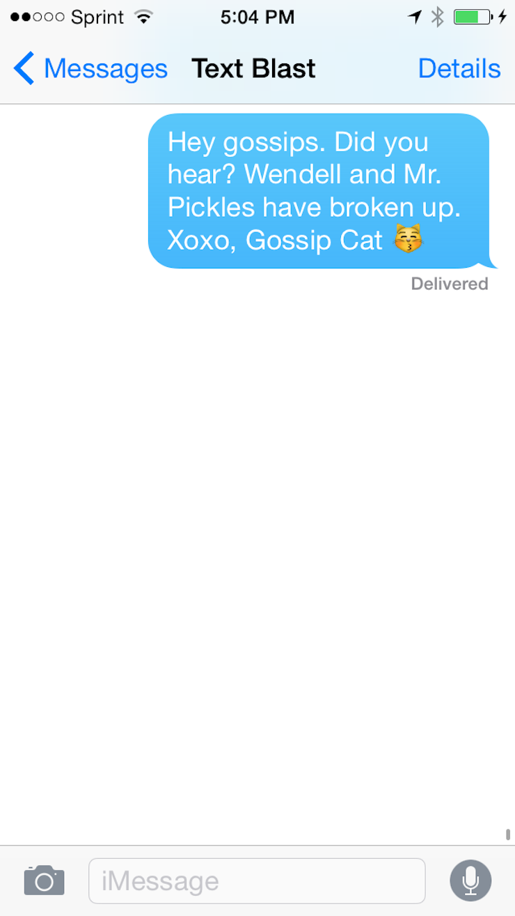 What Do All The Cat Emoji Mean? All Your Questions Answered ...