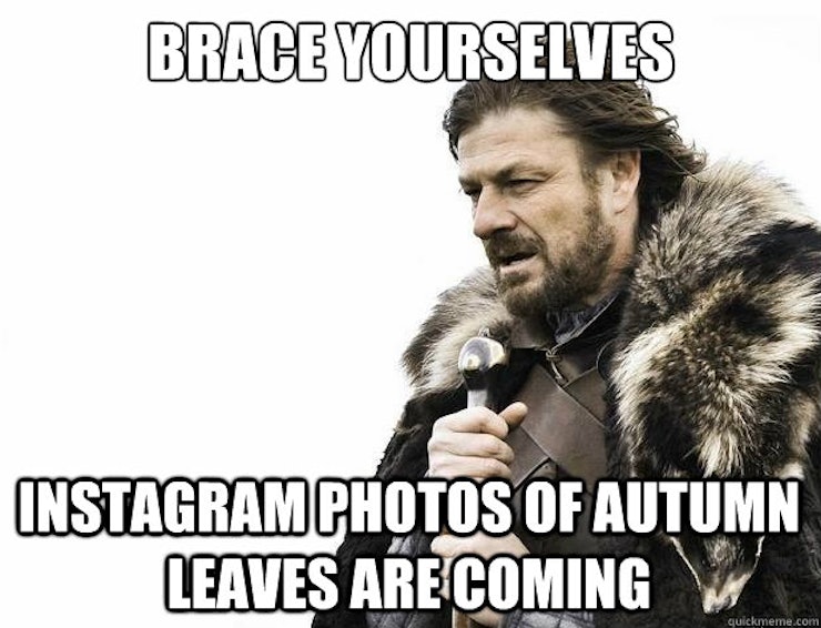Image result for fall leaves meme