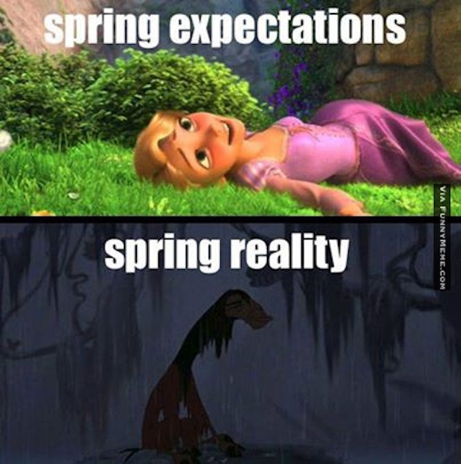 15 Funny Spring Memes To Get You Through These Chilly 