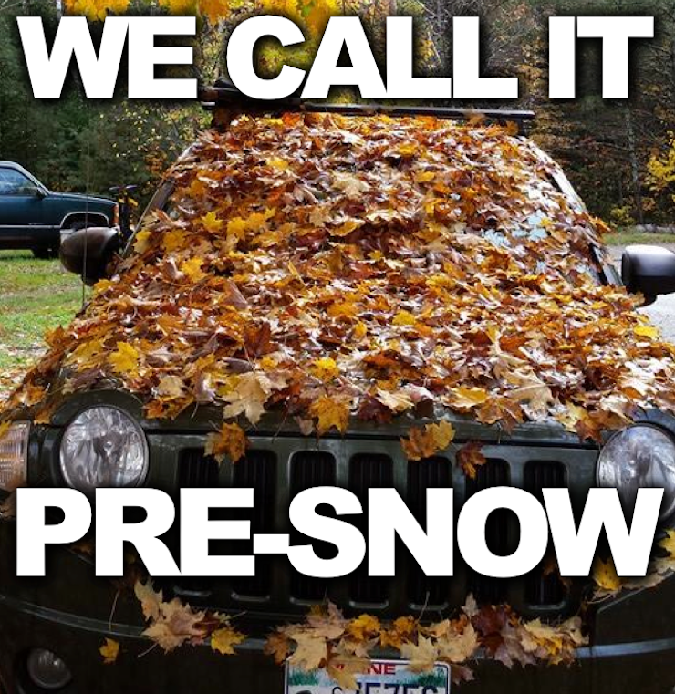 Image result for fall meme