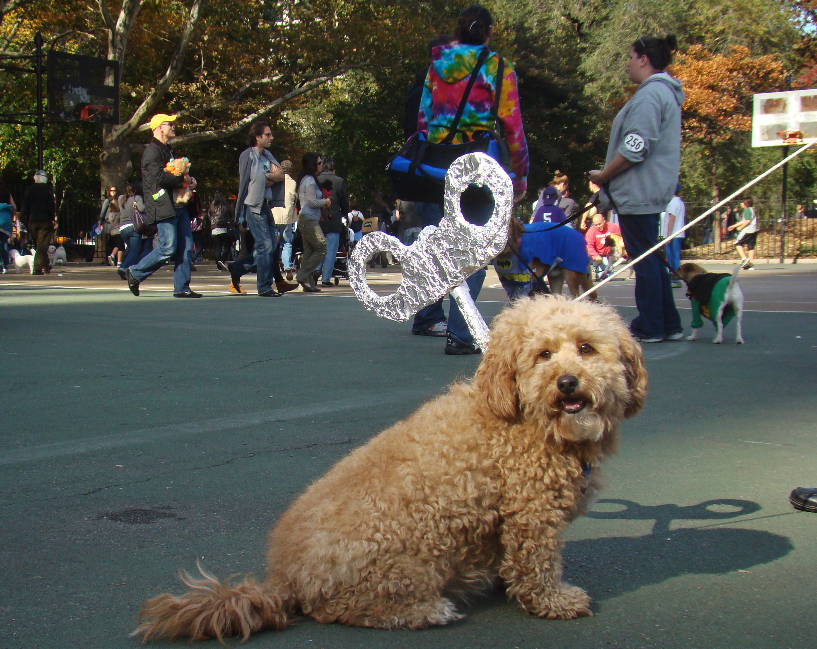 wind up dog costume