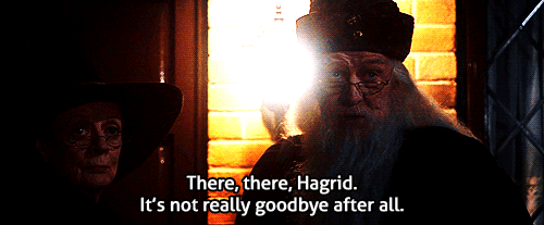 Not Really Harrypotter Not Really Harrypotter