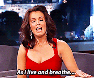 8 Things You Totally Forgot About 'Scandal' Star Bellamy Young's 'The
