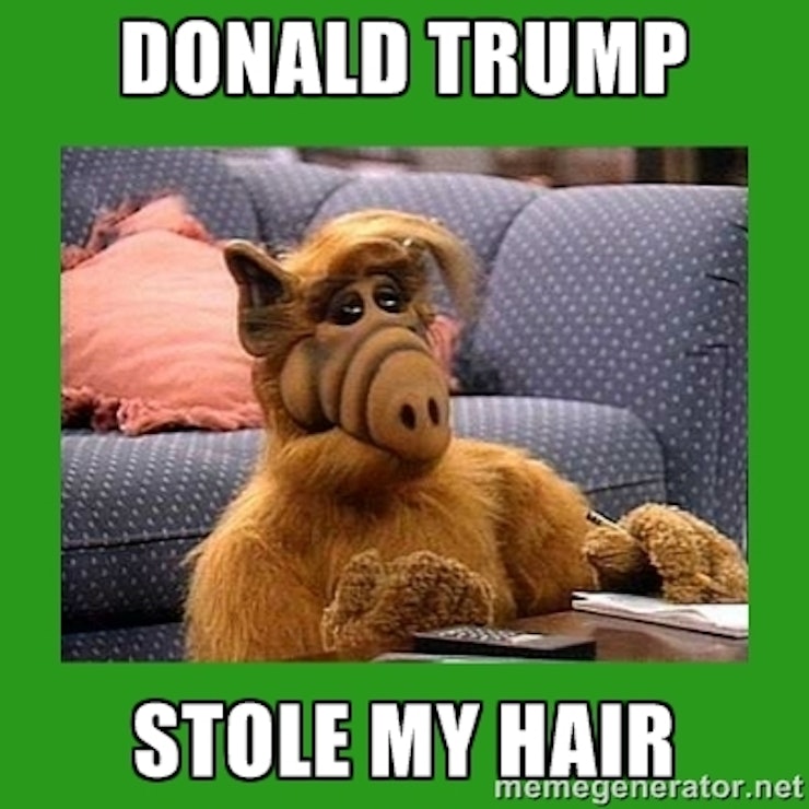 Image result for donald trump memes