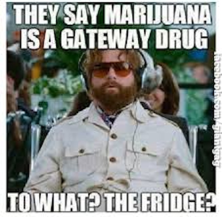 Legalization of marijuana essays