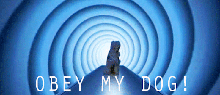 008881a0-b185-0133-39d2-06e18a8a4ae5.gif?w=740&h=321&fit=max&auto=format