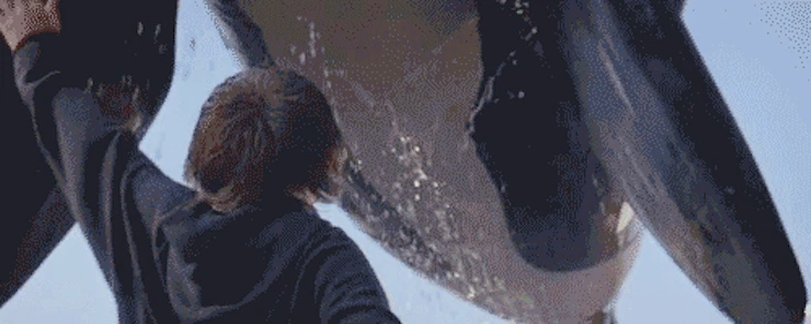 5a897610-4c49-0134-5e5a-06caa2286297.gif