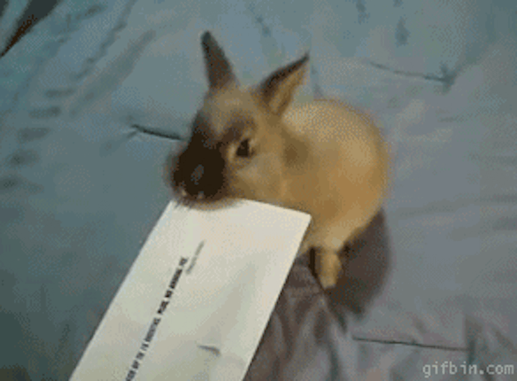 Afbeeldingsresultaat voor love letters gif