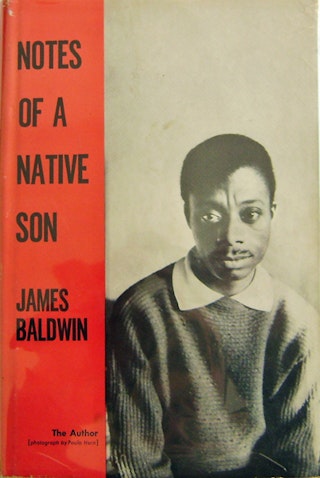 Notes from a native son image